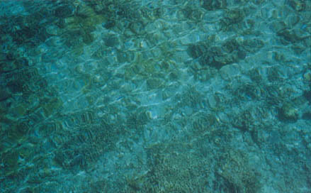 eau
