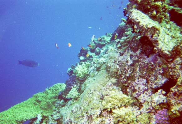 img0123