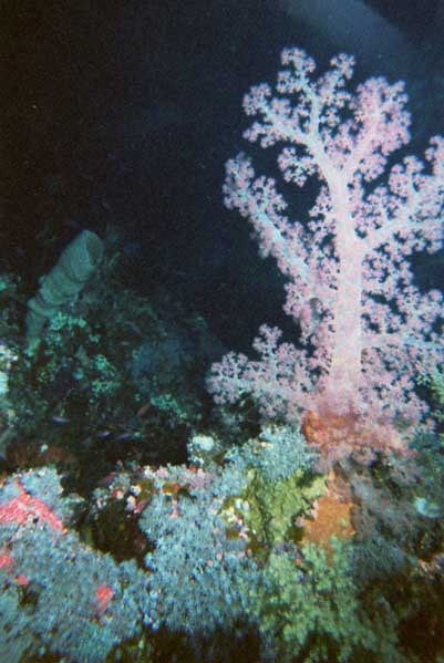 img015