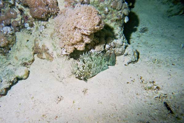 img0181