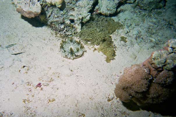 img0201