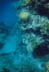 mer