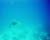 img0111